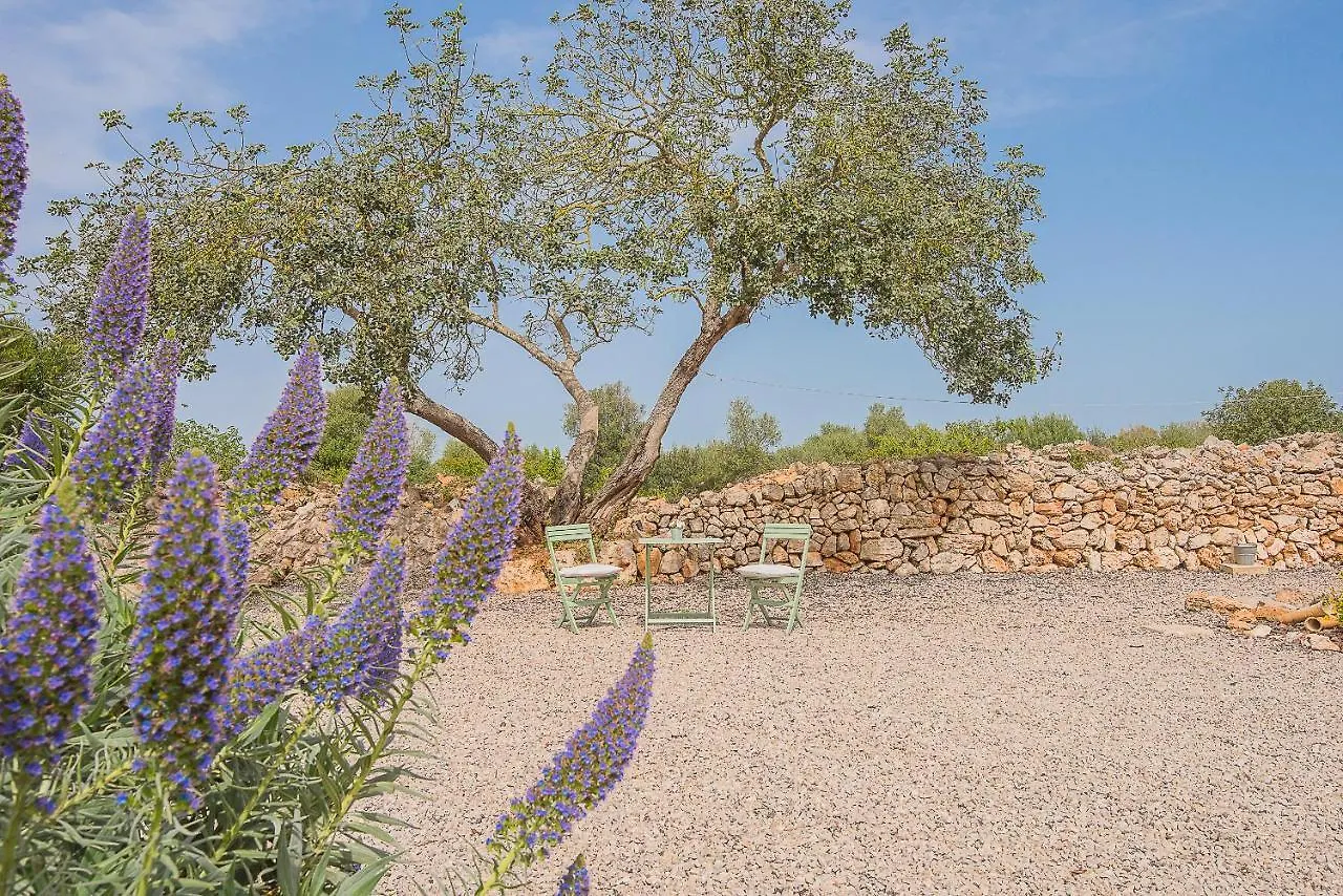 Finca Tanca Gran Felanitx Holiday home