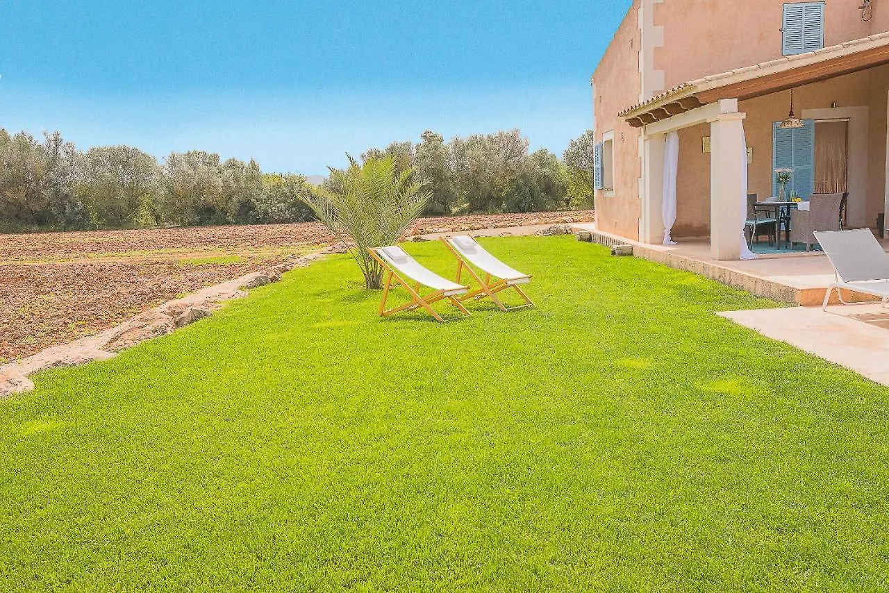 Finca Tanca Gran Felanitx Holiday home