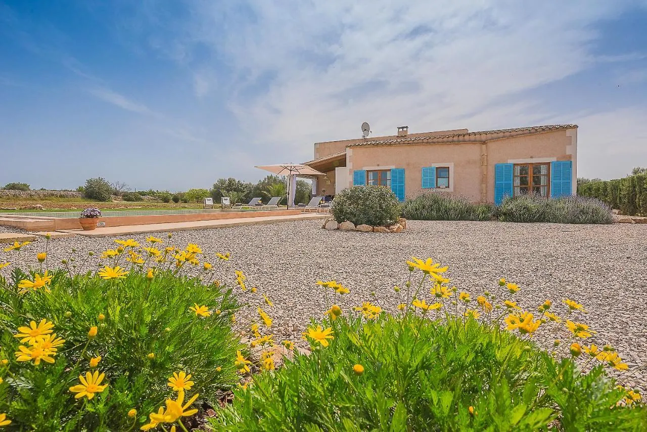 Finca Tanca Gran Felanitx Holiday home