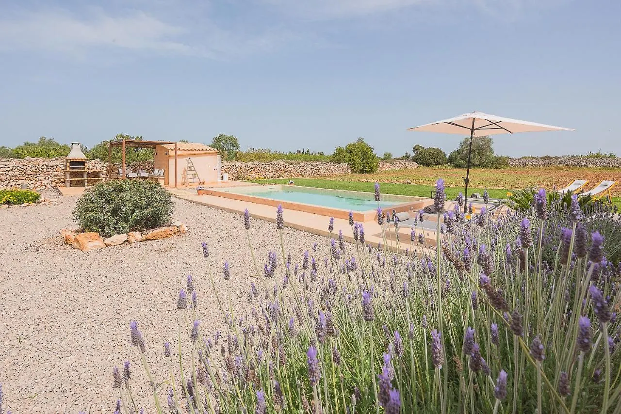 Finca Tanca Gran Felanitx